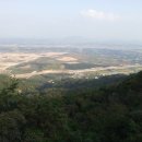 도청대로(동) 이미지