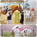 자마장어린이공원 | 경남 함안 가볼만한곳 아이와 함안승마공원 승마체험 등 후기