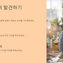스마트폰 제대로 활용하기 | 집콕 시대 필수! 스마트폰으로 인터넷 제대로 활용하기