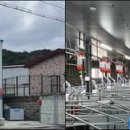 양돈산업 이미지