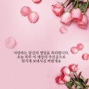 벌스데이 위시즈(Birthday wishes) | 생일축하 메세지 이미지 모음