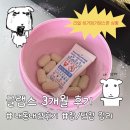 글램스 부스터 3개월 후기! 생리주기 밀림부터 부작용/장단점 후기