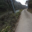 대산양은