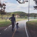 수목원파크 이미지