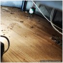 동배고동네배관고수 네이버블로그