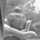 단식광대 이미지