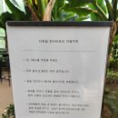 고창 가볼만한곳 온실카페 디온실 컨서버토리 메뉴 주차