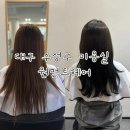 코발트블루 | [공지] 대구 수성구 범어동 원먼트헤어ㅣ코발트블루 염색 솔직후기