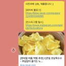 크라운제과 | [크라운제과 서포터즈 13기] 합격 후기 - 서류 준비 / 포트폴리오 꿀팁 / 사전 과제 / 면접 질문 모음