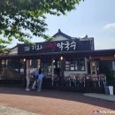 경주 기와메밀막국수 맛집, 분황사 앞 물막국수와 까페 고미사