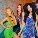 루나솔라