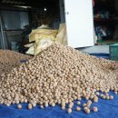 진이농장 이미지