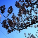 오동목장 이미지