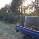 세혁농장 이미지