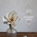 마중물서점 이미지