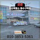 황산흑염소 이미지