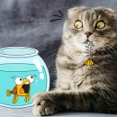 일산동물의료원 이미지