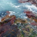 경정리 (차유마을) 해안가 이미지