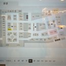 세라젬 롯데백화점 본점 이미지