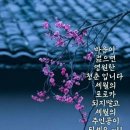 ＜979회 회계보고＞4월25일(화)허밍웨이길 몽마르뜨-서리풀 공원길 이미지