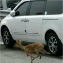 하단1동-6 이미지