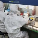 &#39;꼬리에 꼬리를 무는 확진&#39;에 대전보건환경연구원 &#39;녹초&#39; 이미지