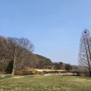 돈 크리크 카카오 검색결과