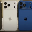 한국1차 이미지