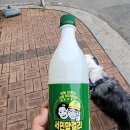 1000원 짜리 막걸리 이미지