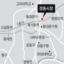 경동나물