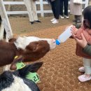 소우목장 이미지