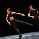 대구시립무용단 DCDC 이미지