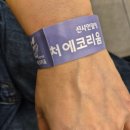 미디어 놀이터로 고고 | 선샤인 밀양 테마파크 네이처 에코리움 방문후기 아이와 실내 가볼만 한 곳 당일치기 밀양여행