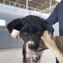 소사2길 이미지