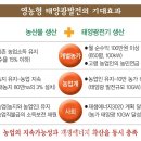 가야 태양광 이미지