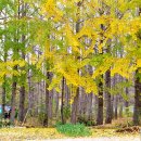 은행보건진료소 이미지