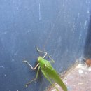 남산1길 13, (교현동) 이미지