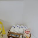 경주 안하우스 키즈풀빌라 미온수무료 독채풀빌라