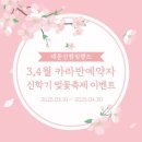 대둔산캠핑랜드에서 제대로 즐긴 완벽한 캠핑 여행 후기