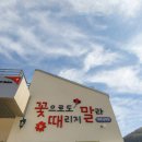 꽃때말 이미지