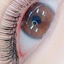 강동-천호-2821 이미지