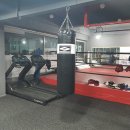 치악복싱체육관 이미지