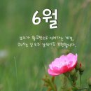 노원중학교 이미지