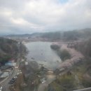 (주)빅본 | 광주 패밀리랜드 빅아이 타본 후기