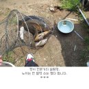 지청낚시터