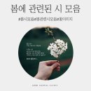 봄꽃에대한시모음 이미지