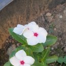 모하마을회관 이미지