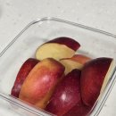 되지 생활건강 | 해피손의 슬기로운 건강생활 13기 미련한 실천 후기