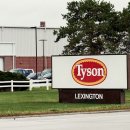 타이슨푸드, 가축 공급 감소로 대형 쇠고기 공장 폐쇄 및 운영 축소 육류 포장 대기업, 네브래스카 시설 폐쇄로 3,200명의 근로자가 이미지