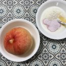 카페가벼운하루;더블유인셀덤 | 8/9-8/11 일상 / 페스코 채식 식단 일기 / 머리에 앵무새 앉음 / 인생 첫 락사 / 합주 시작...